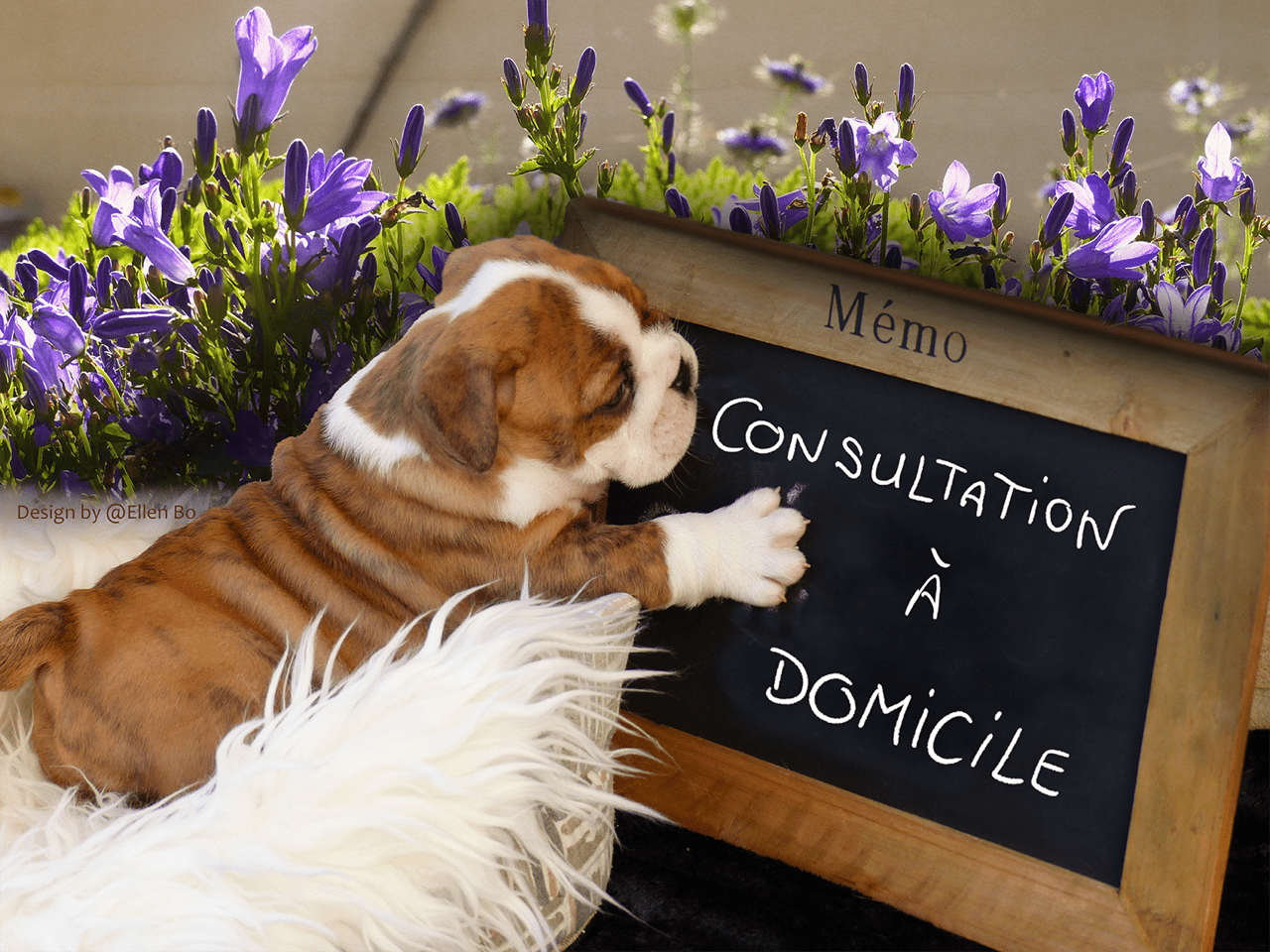 CONSULTATION À DOMICILE